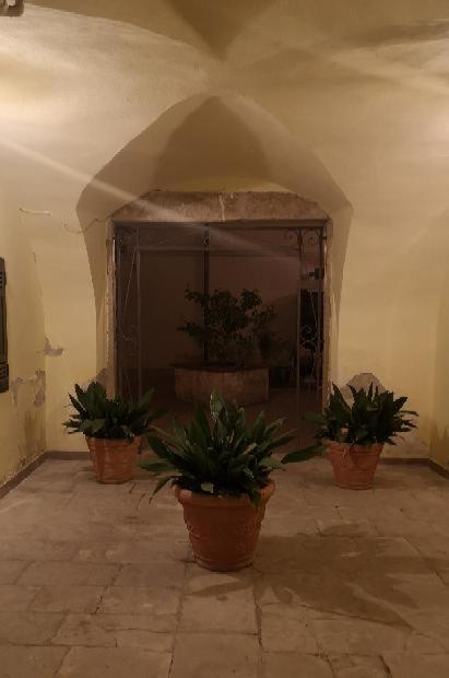Les Maisons Coco Trani Luaran gambar